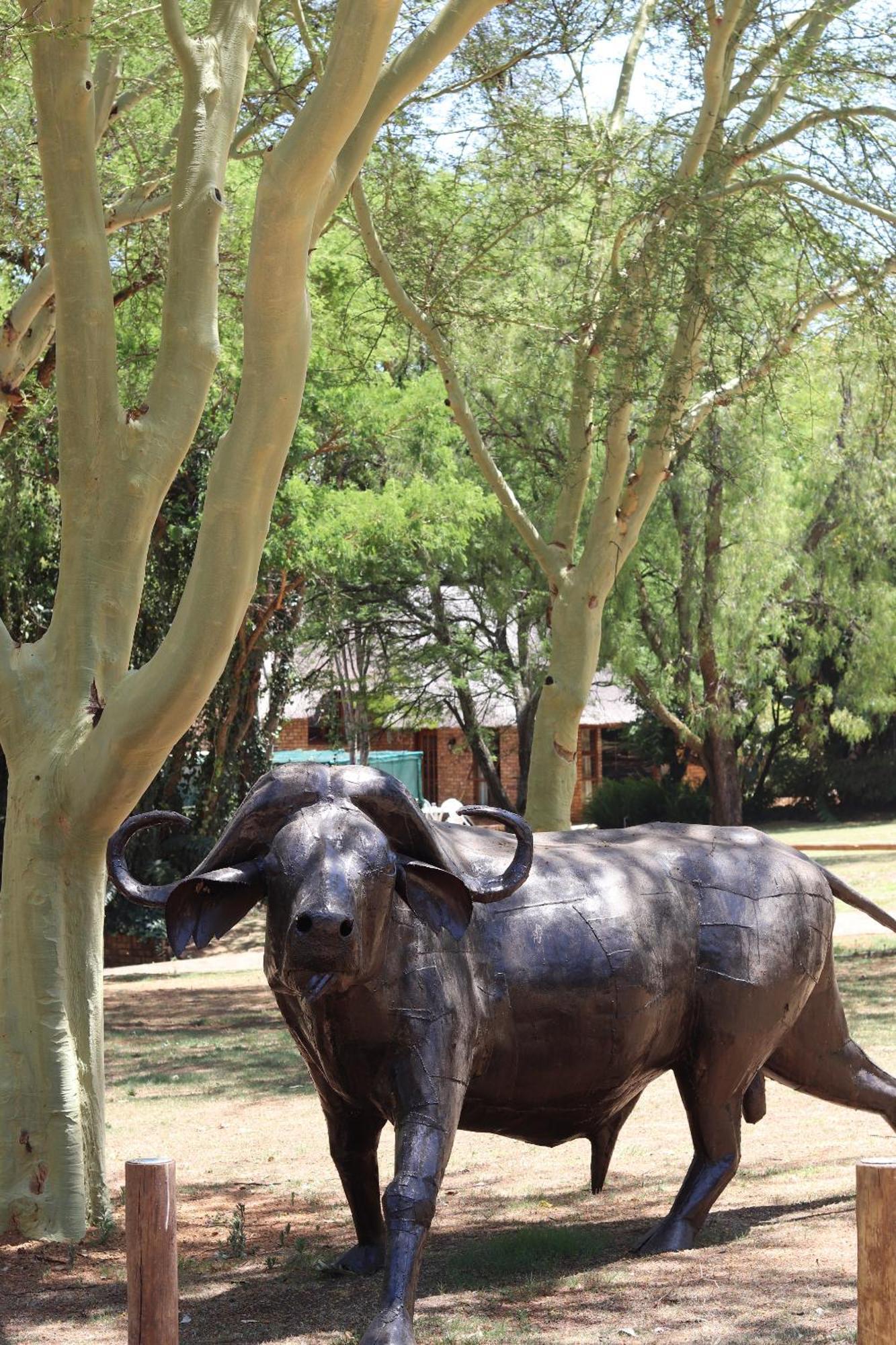 Khaya Africa Guesthouse Мидранд Экстерьер фото